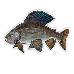 UNDERWOOD FISH DECAL