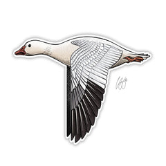 UNDERWOOD BIRD DECAL
